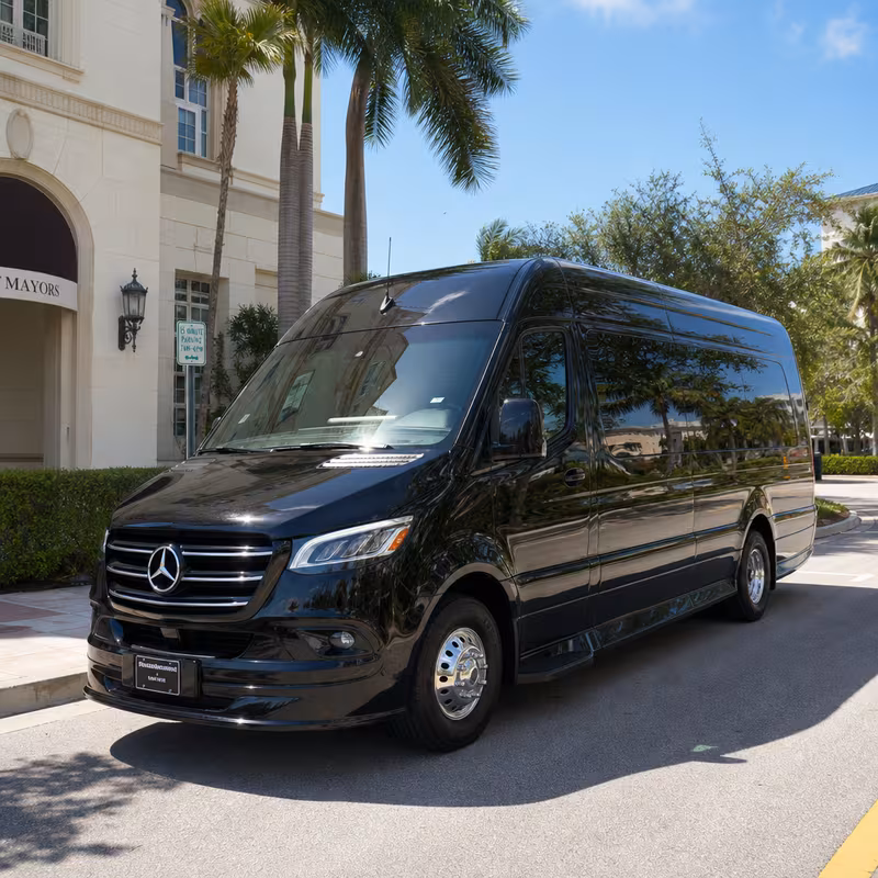 14 Passenger Sprinter Limo